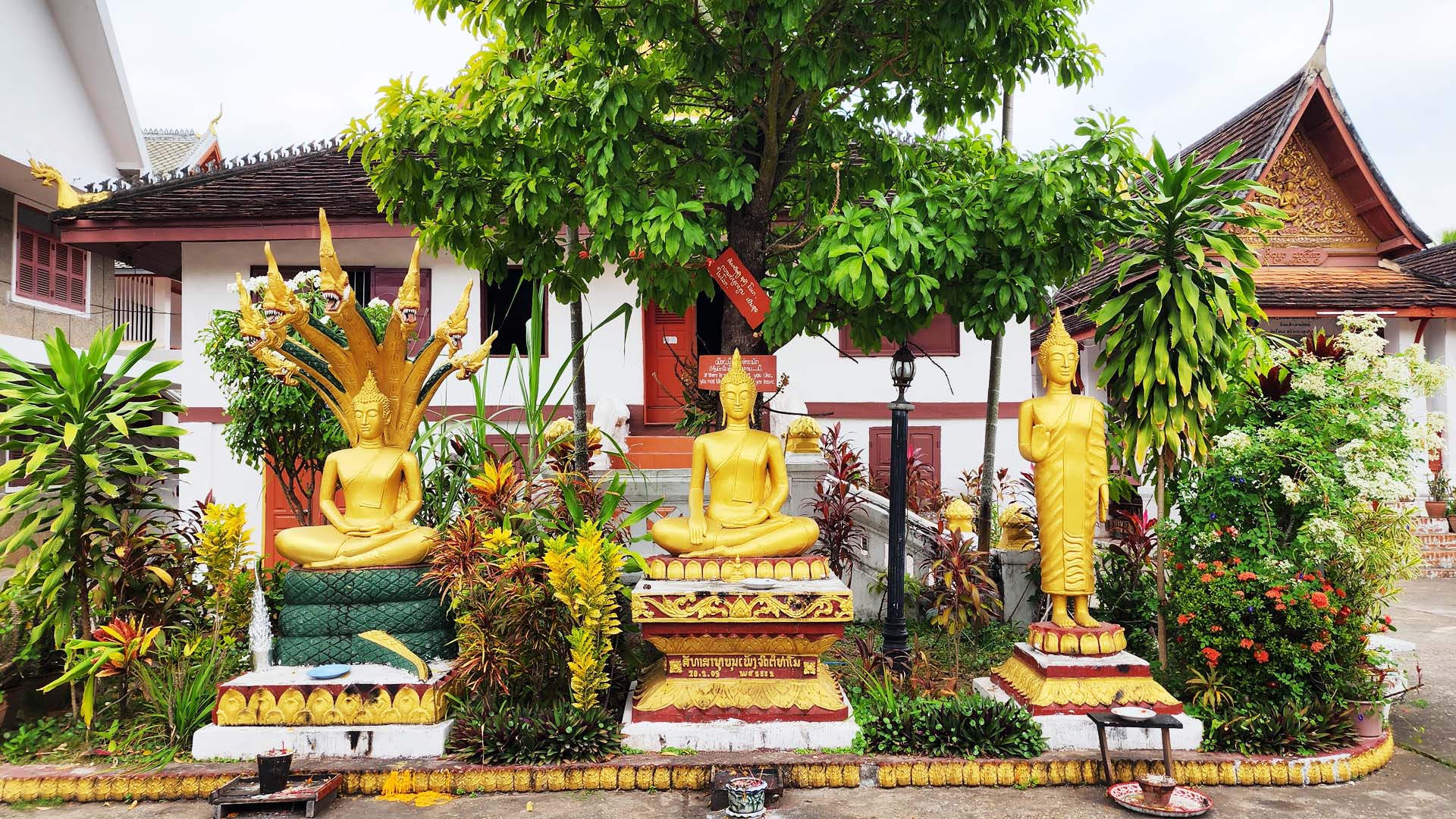 Discover Laos