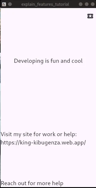 GIF showing Usage