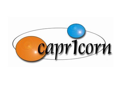 Capricorn Custom Steel Solutions