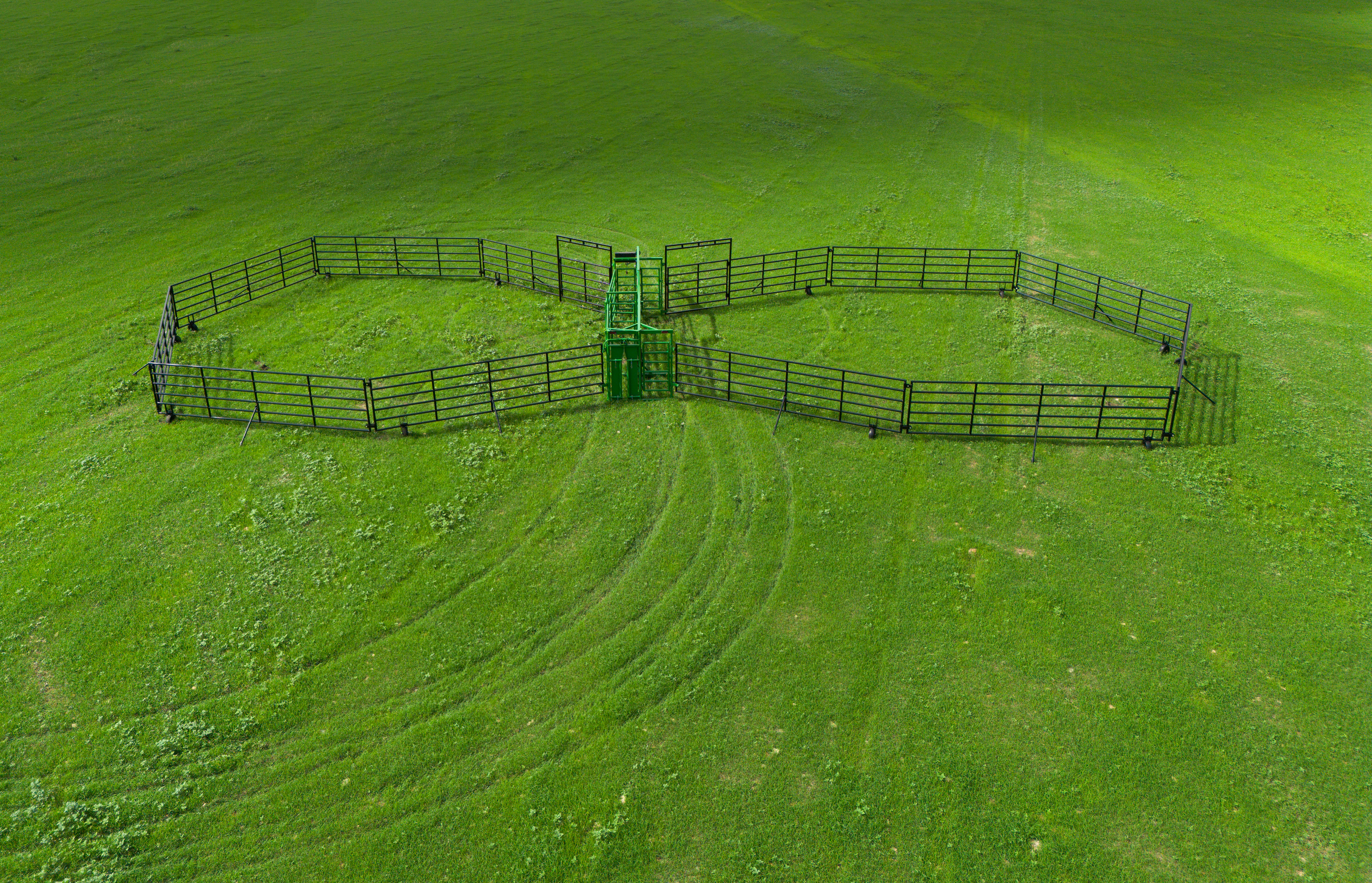 Portable Corral