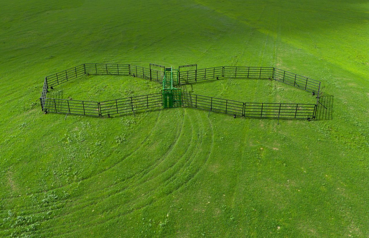 Portable Corral