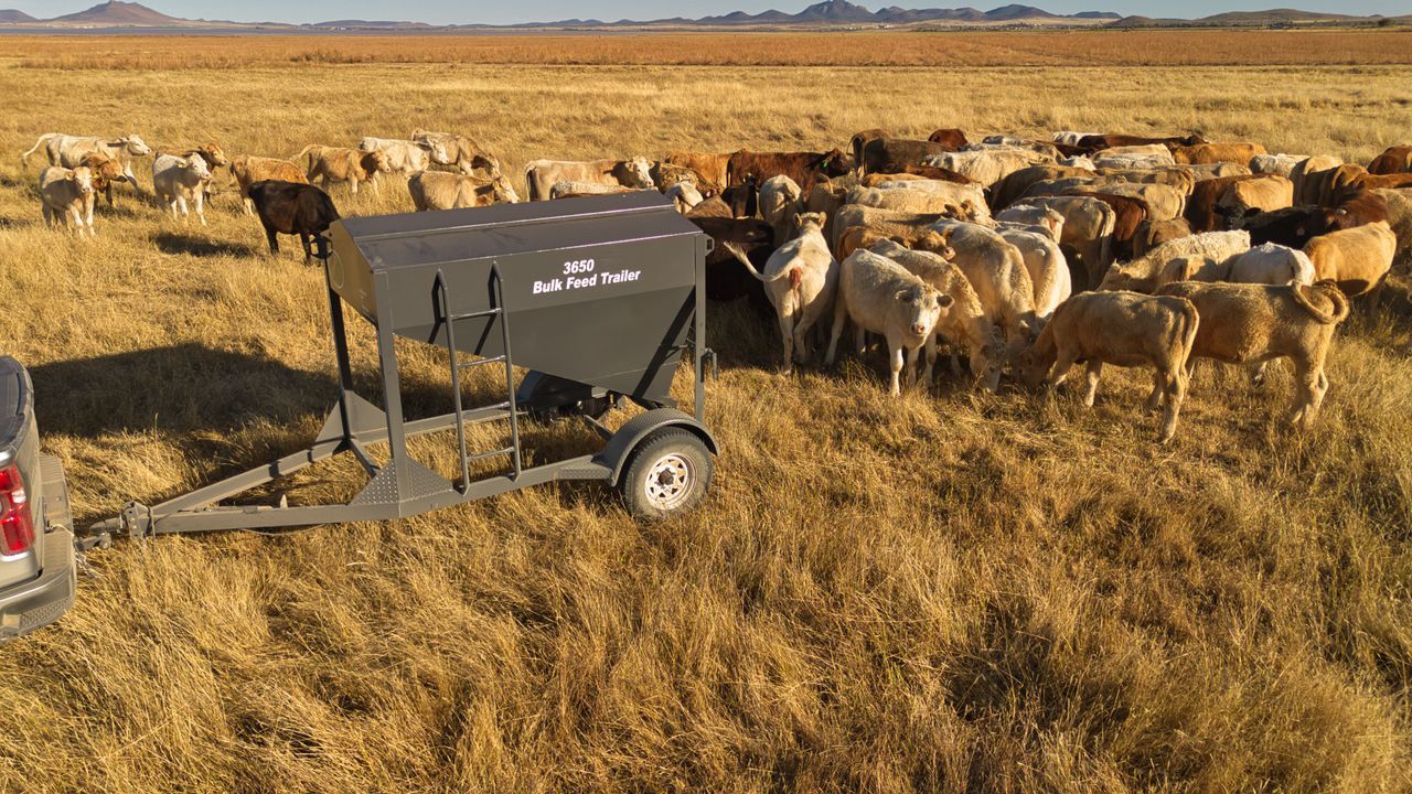 Bulk Feed Bin