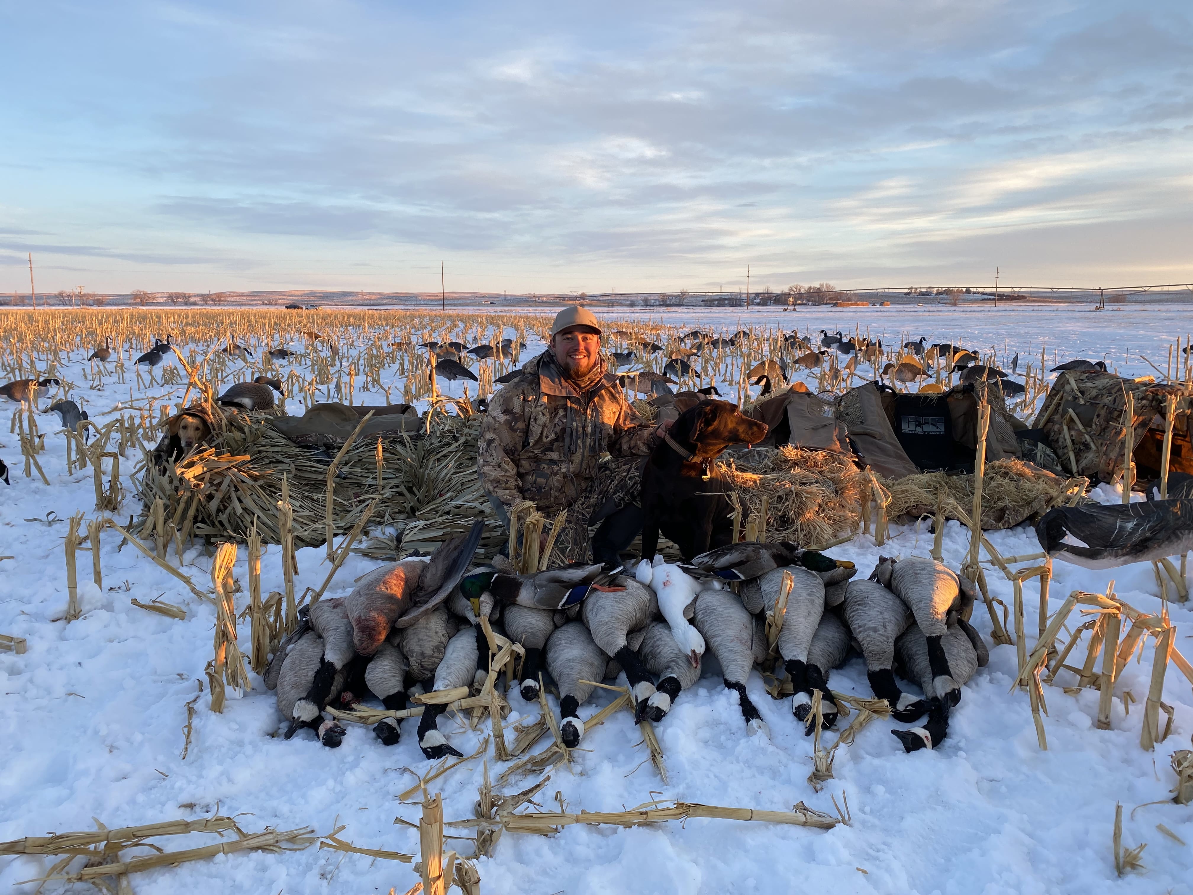 Hillrose East - Goose Blind