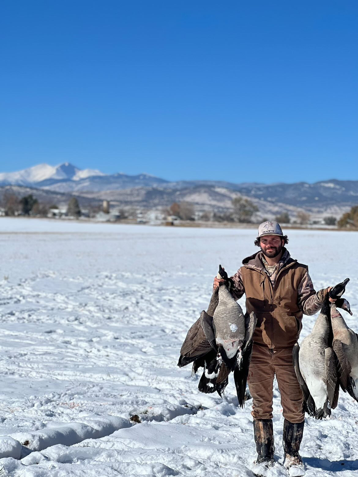 Handy Dam - Waterfowl