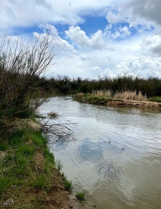 Arkansas River Ranch - Access Granted