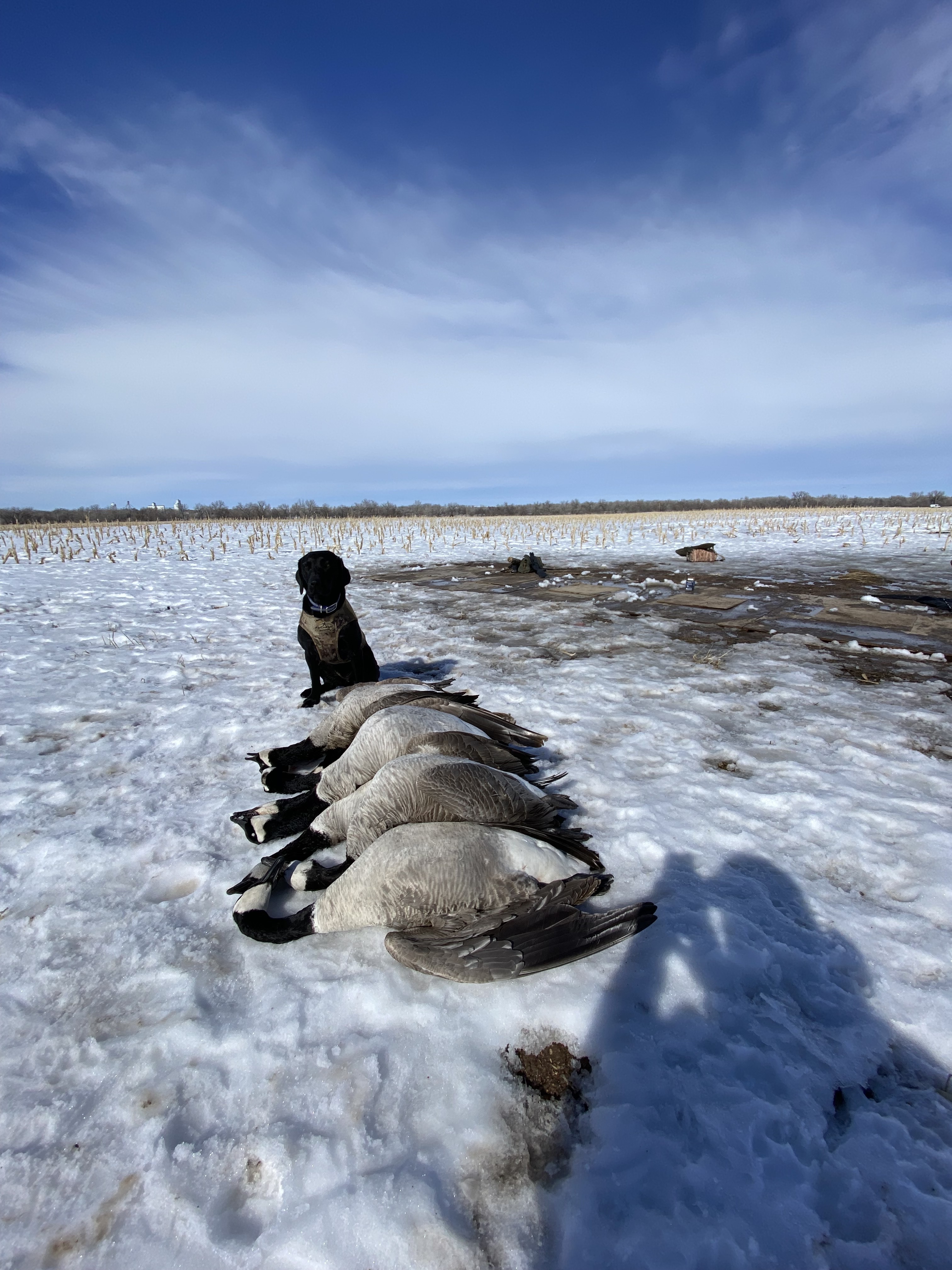 Platte Flats - Waterfowl