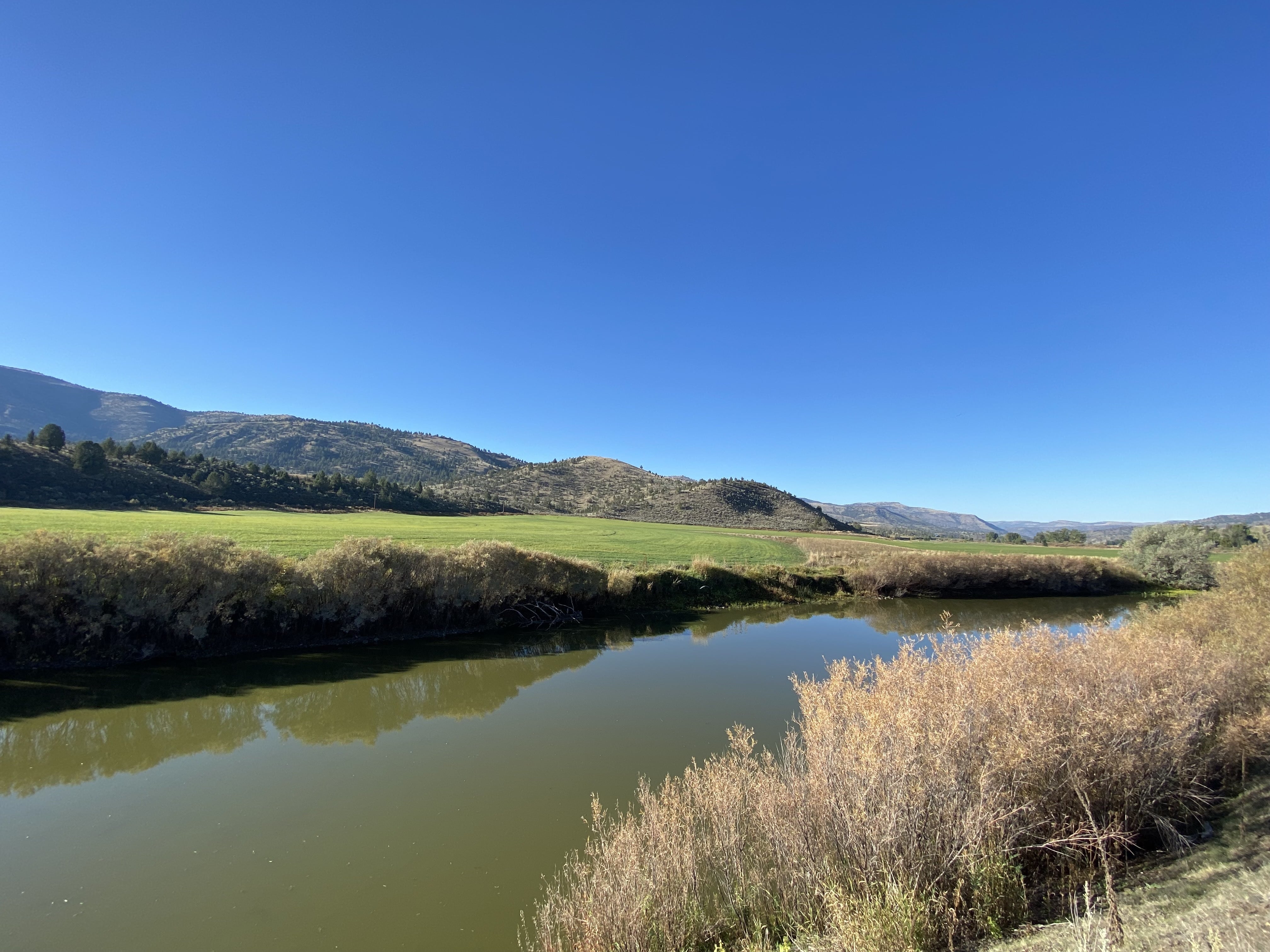 John Day River Slough