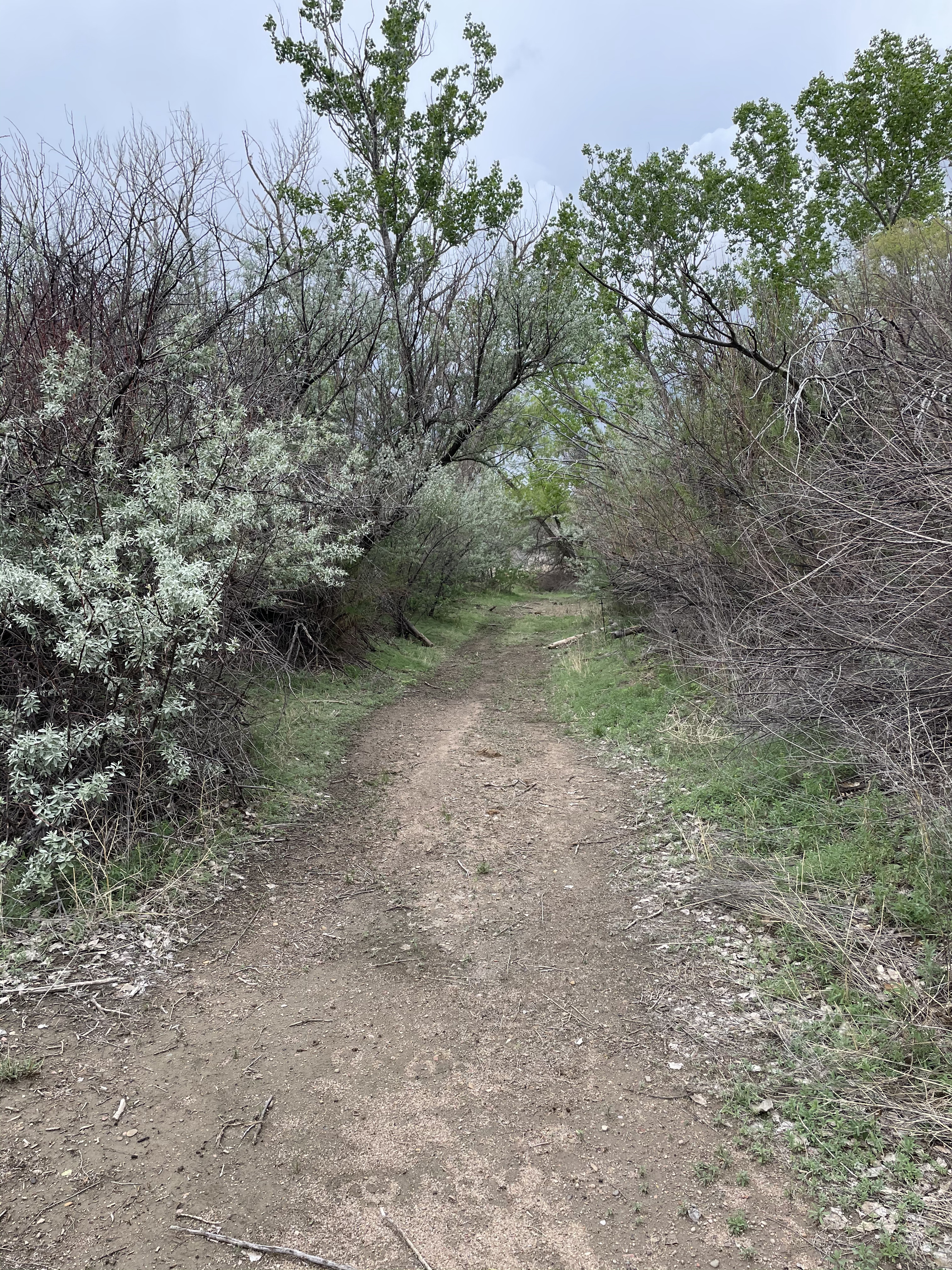 The Running A Ranch - Waterfowl