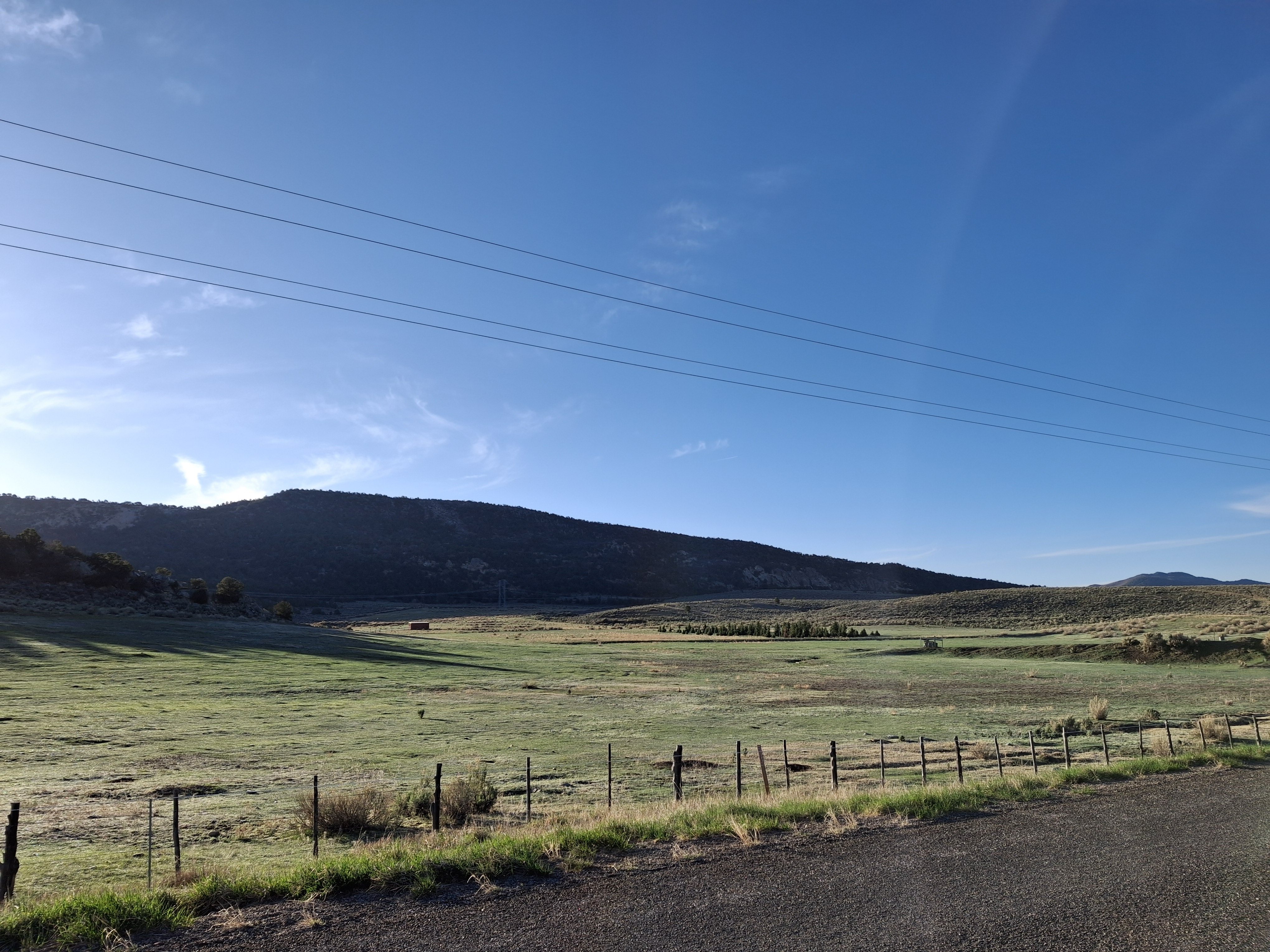 Walsh Ranch - Turkey