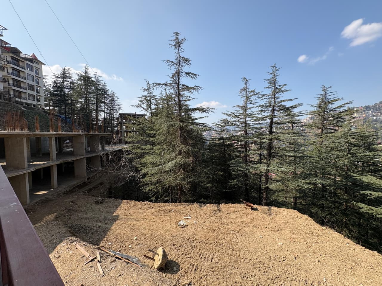 Forest chalet — photo 9