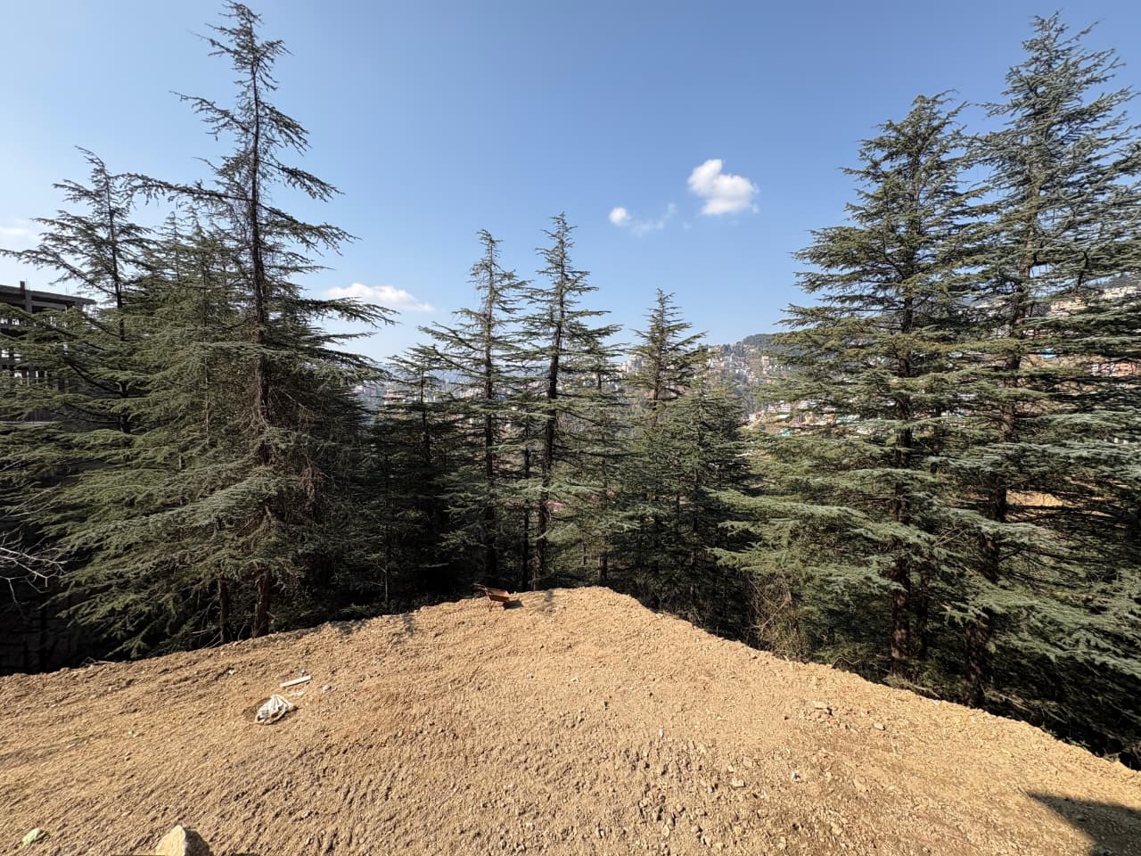 Forest chalet — photo 11