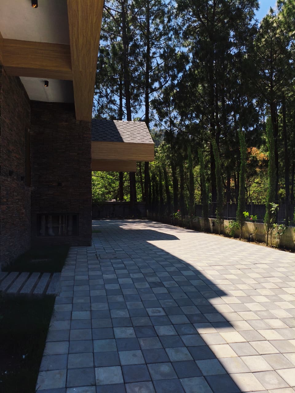 Luxury villa at Kasauli - Image 2