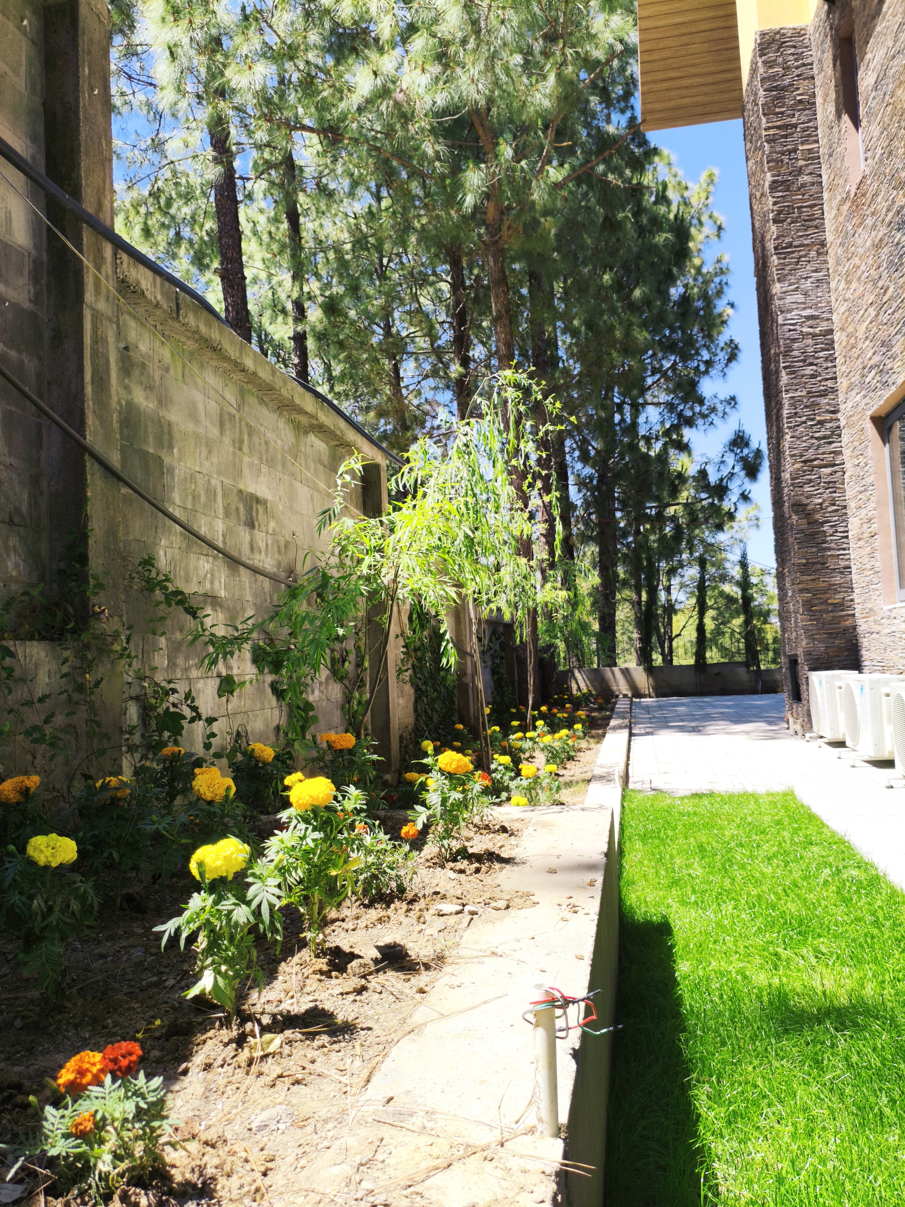 Luxury villa at Kasauli - Image 19