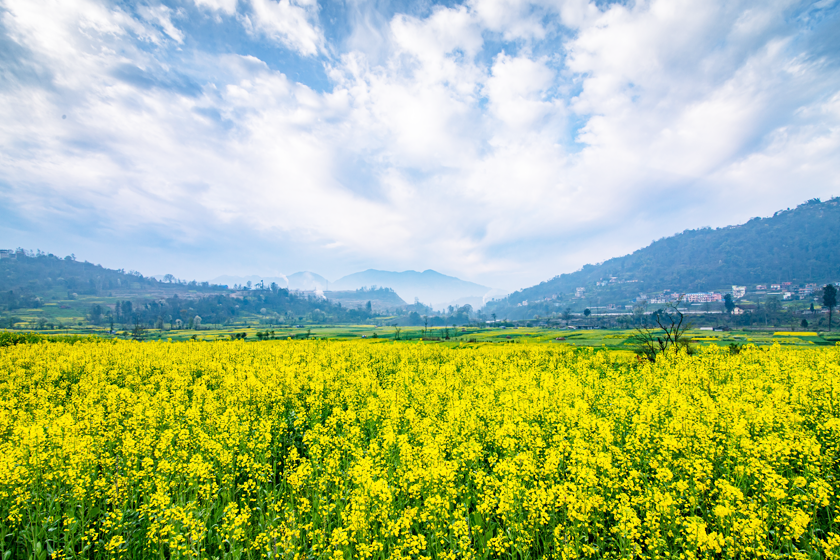 Farm house Land pooling  per acre  ₹2.5 CR  - Image 8