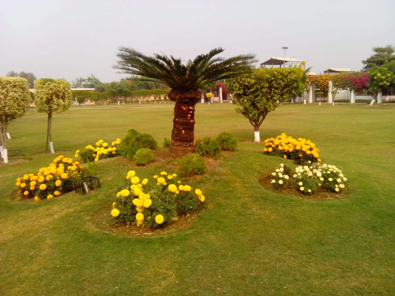 Farm house Land pooling  per acre  ₹2.5 CR  - Image 9