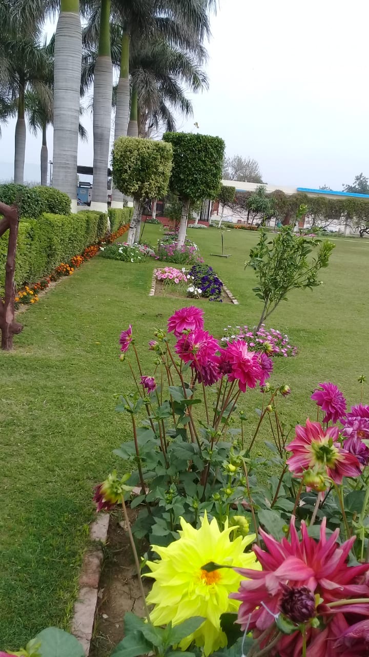 Farm house Land pooling  per acre  ₹2.5 CR  - Image 10