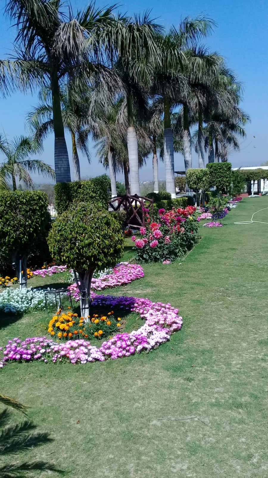 Farm house Land pooling  per acre  ₹2.5 CR  - Image 13