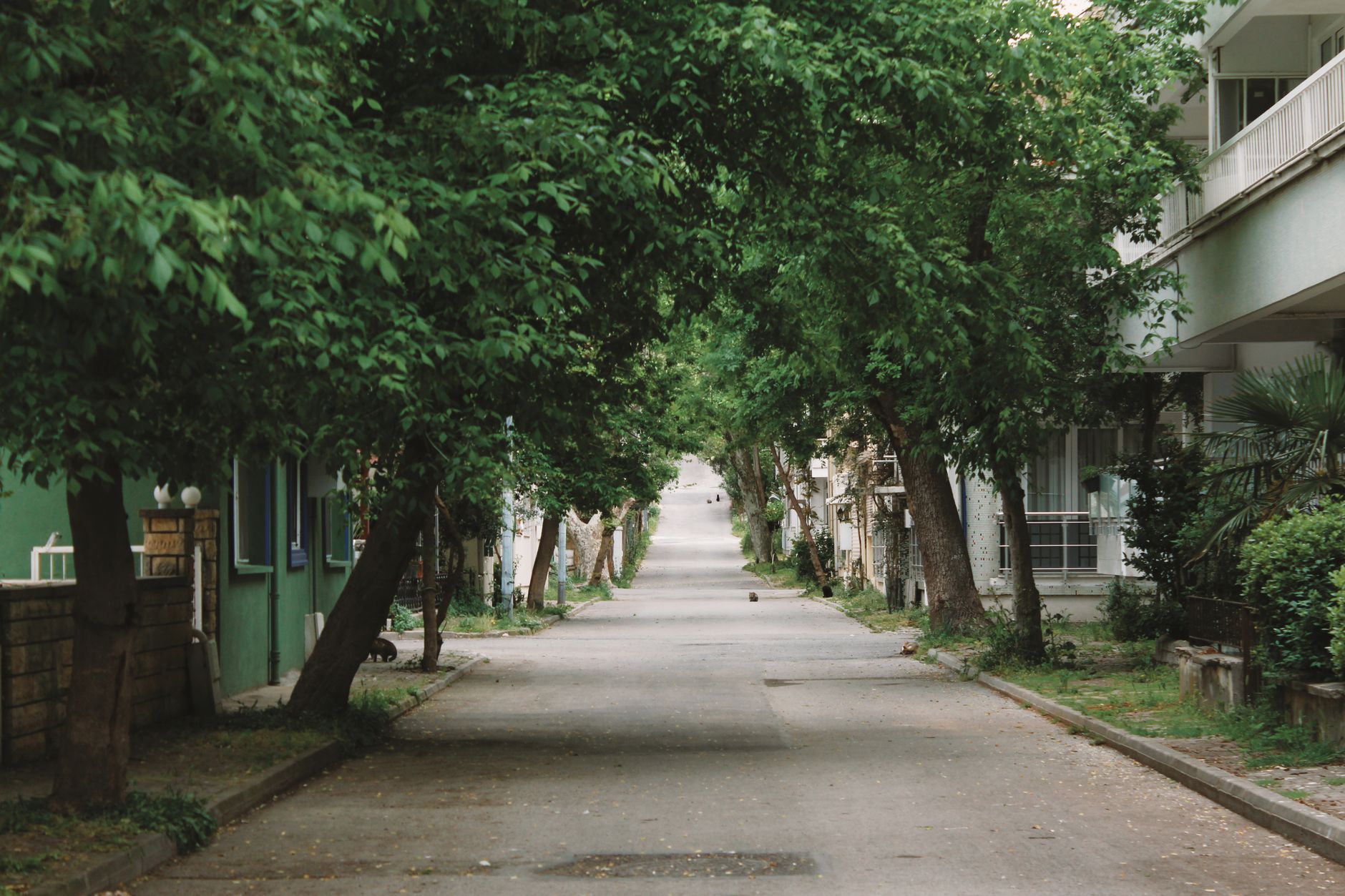 Buying Property in Aerocity Mohali: 2026 Buyer Guide