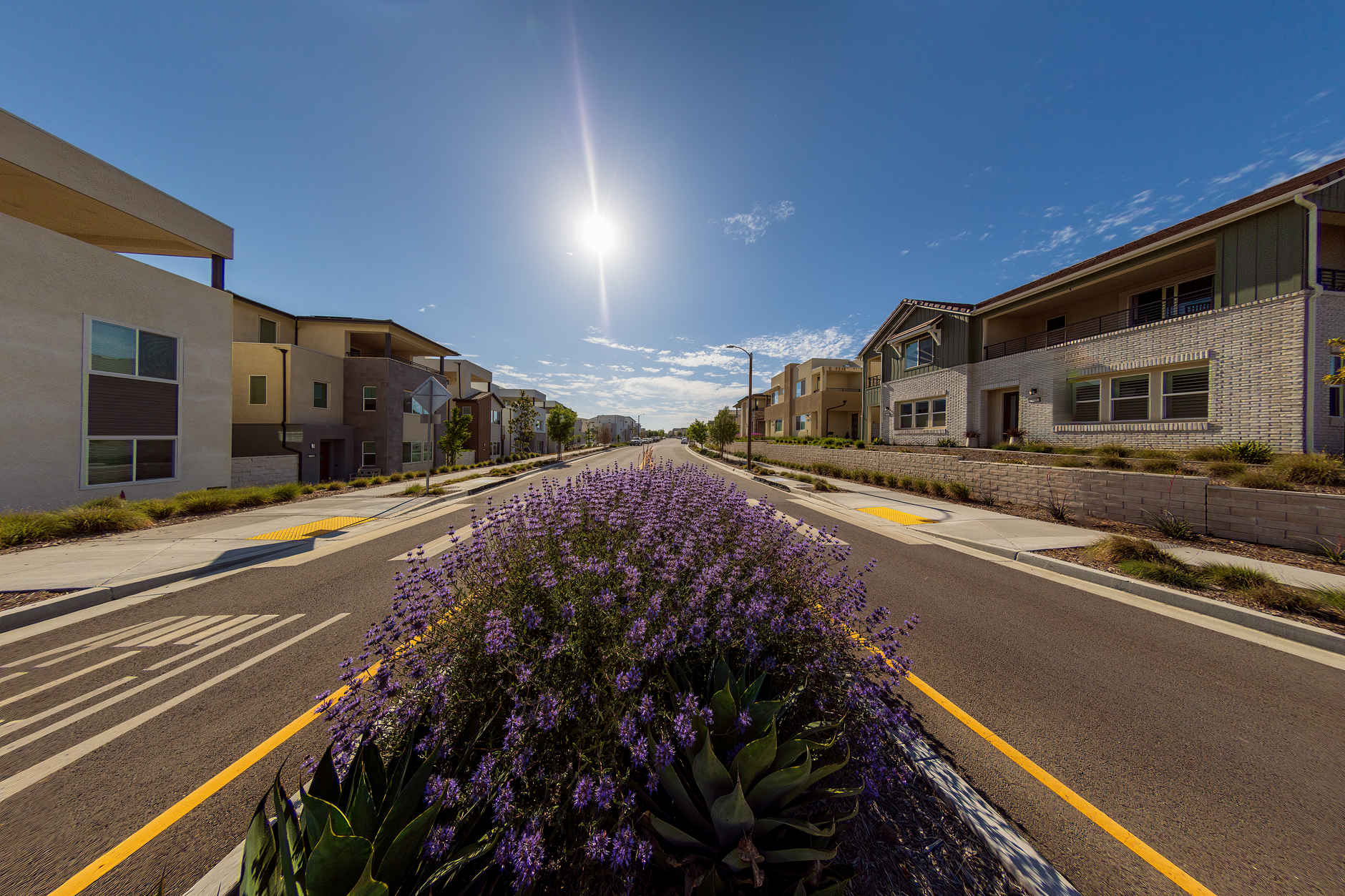 Buying Property in IT City Mohali: 2026 Buyer Guide