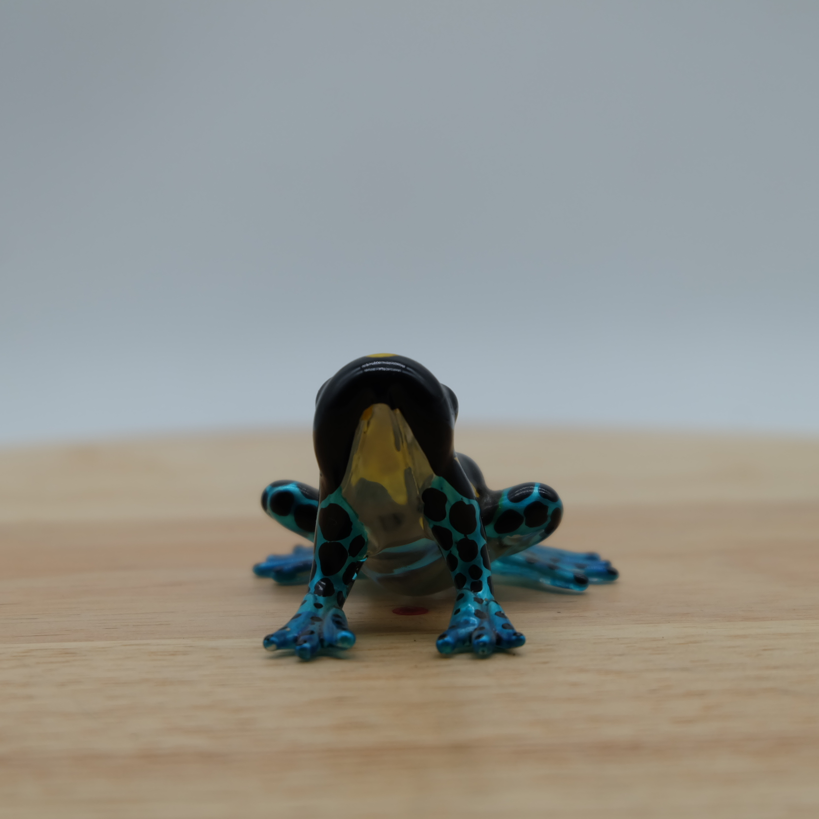 Picture 5 of 18