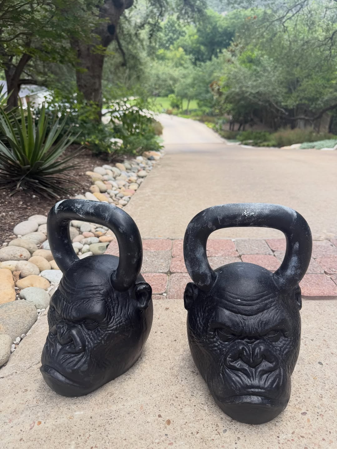 joerogan Instagram post about Fitness training