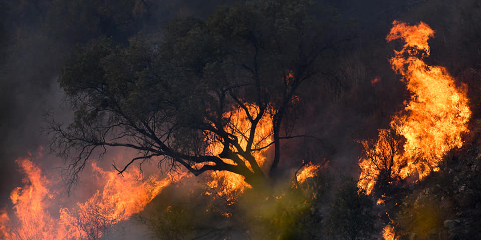 Imagen de la nota 'Los dueños del fuego parte II'
