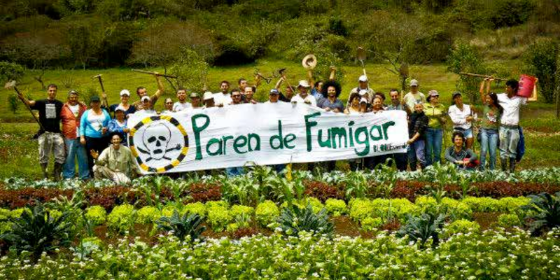Imagen de la nota 'El modelo de producción agropecuario argentino, un problema de salud pública'
