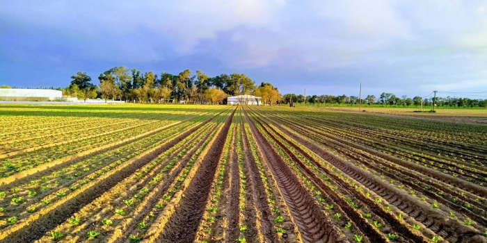 Imagen de la nota 'La equidad impositiva y la tierra'