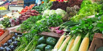 Imagen de la nota '“Argentina tiene la obligación de entender cómo producimos para nuestro propio consumo”'