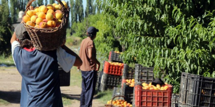 Imagen de la nota 'La brecha de precios entre productor y consumidor se disparó en diciembre'