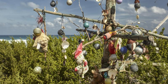 Imagen de la nota 'Pensando un poco la Navidad'
