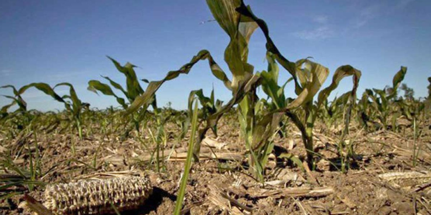 Imagen de la nota '¿Qué tienen que ver el cambio climático y la producción de alimentos?'