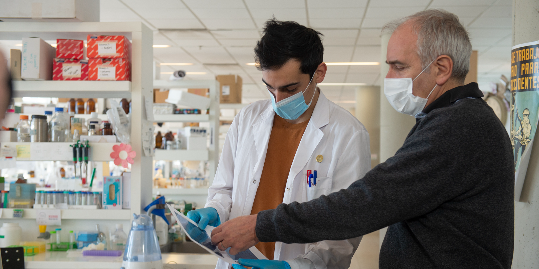 Imagen de la nota 'Ciencia Nativa: Un avance contra la atrofia muscular espinal'