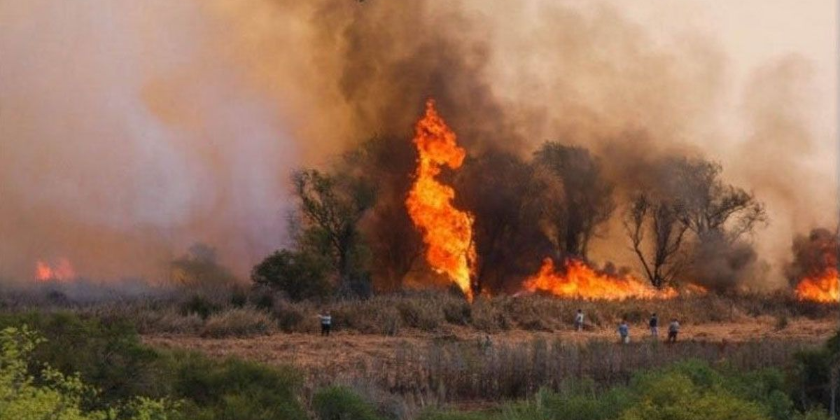Imagen de la nota 'Nos incendiamos '