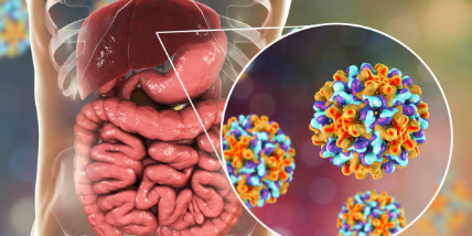 Imagen de la nota 'Las hepatitis virales: Una epidemia silenciosa'