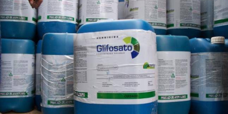 Imagen de la nota 'Entre Ríos: Detectan altas concentraciones de glifosato en el Río Gualeguay'