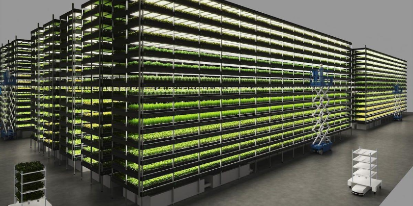 Imagen de la nota 'La granja vertical más grande del mundo que funciona 100% con energía renovable'