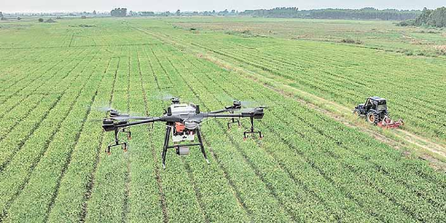 Imagen de la nota 'Cumbre de Sistemas Alimentarios, nuevas tecnologías y el agronegocio recargado'