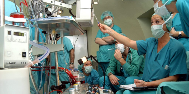 Imagen de la nota 'Medicina y psicología: las carreras universitarias más elegidas este año'