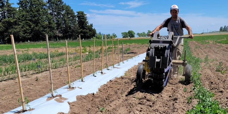 chango-tractor-del-inta-pensado-pequeno-productor