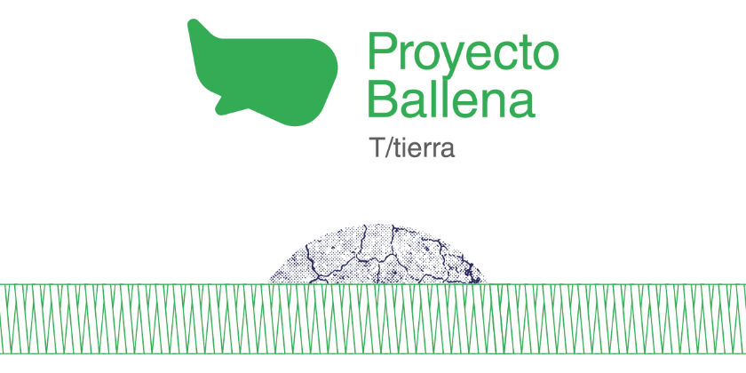 Imagen de la nota 'Proyecto Ballena: La movida cultural del Kirchner para repensar una problemática urgente'