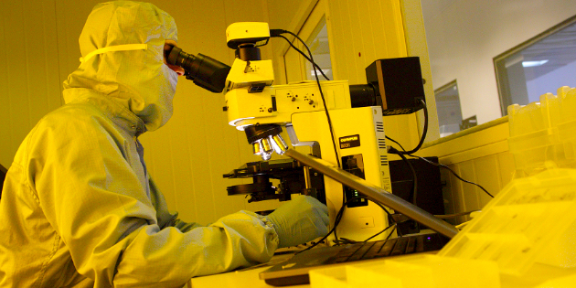 Imagen de la nota 'Ciencia Nativa: Pequeñas medicinas para grandes problemas'