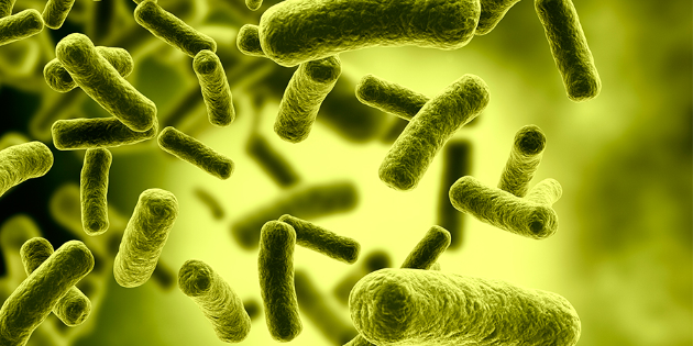 Imagen de la nota 'Bacterias para prevenir COVID'