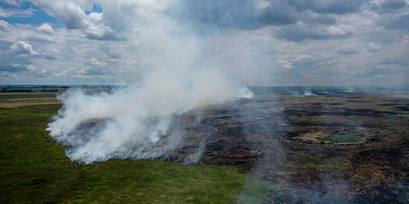 Picture principal - Incendios en Corrientes: historia de las políticas forestales que avivan el fuego