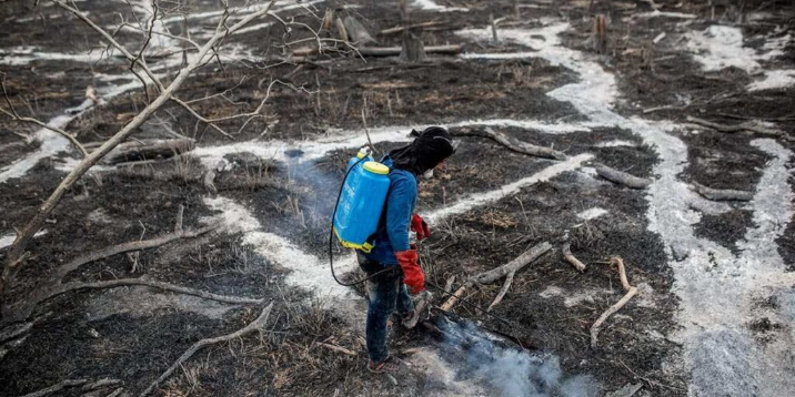 Imagen de la nota 'Desastres ambientales: Las causas de las pandemias se profundizaron'