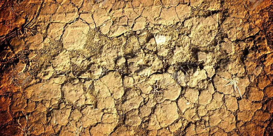 Imagen de la nota 'Los ecos de la grieta'