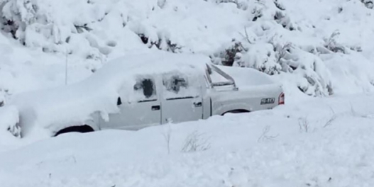 Imagen de la nota 'Las consecuencias del temporal de nieve en la Patagonia'