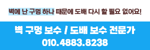 드림 리페어