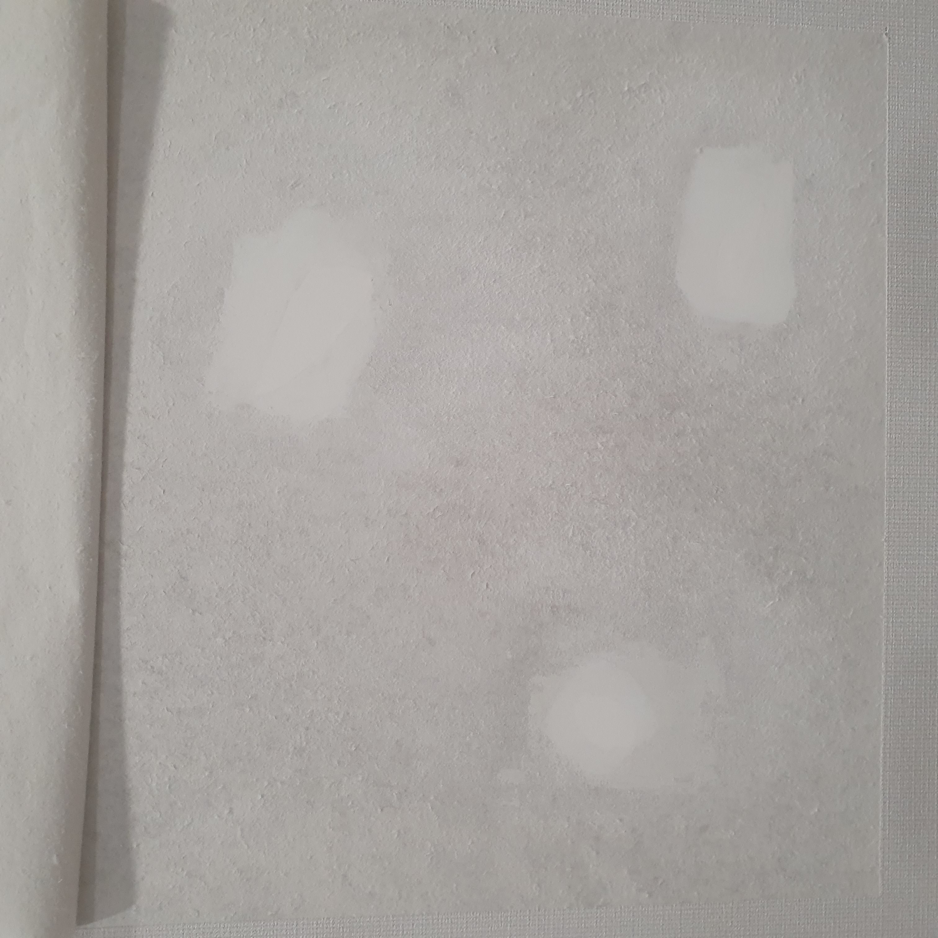 사진 설명을 입력하세요