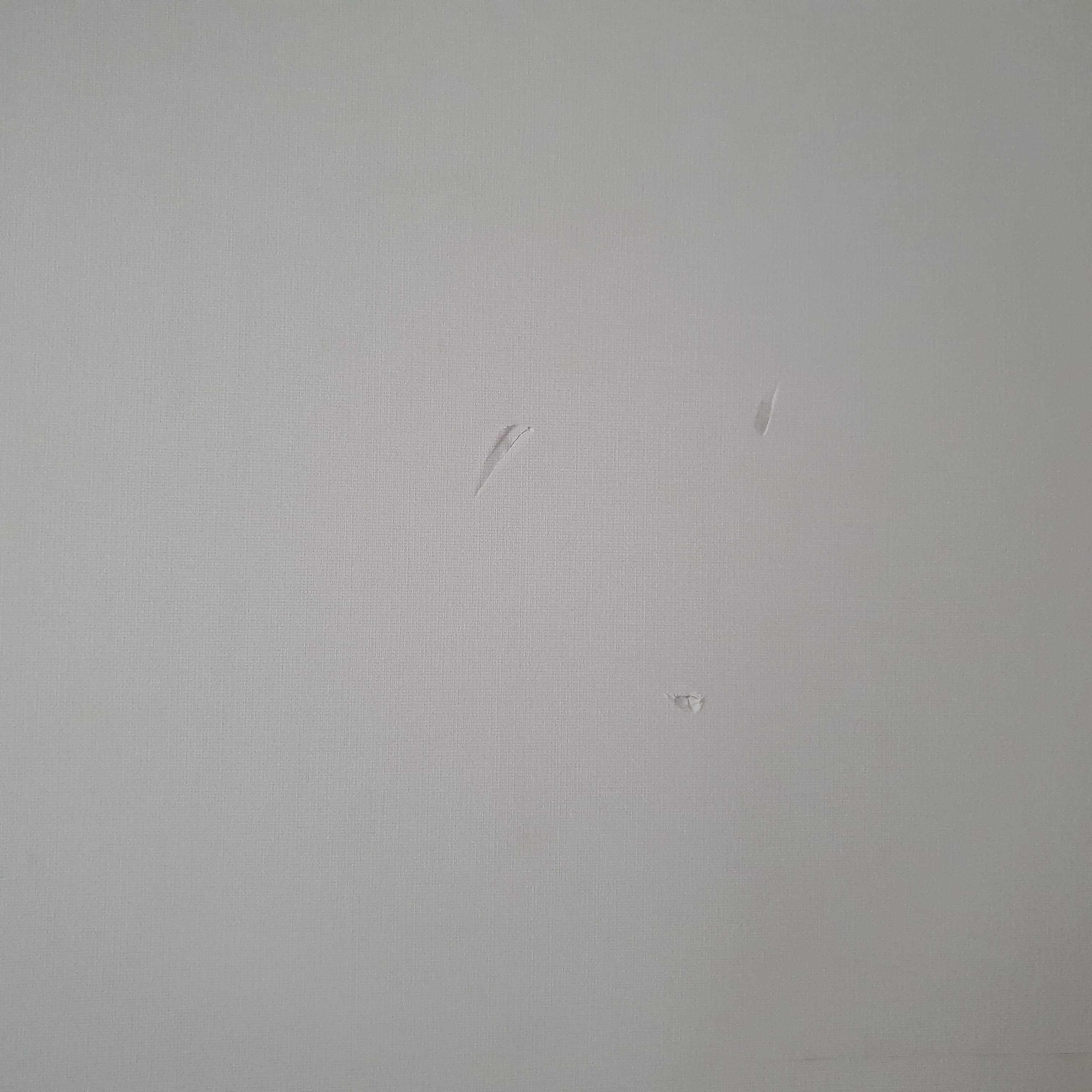 사진 설명을 입력하세요